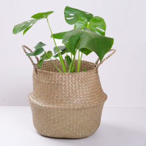 Natural Seagrass Belly Basket Plant Pot